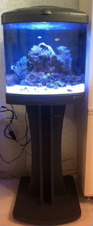 Морской мини аквариум