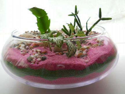 Флорариумы