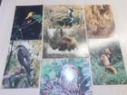 Почтовые открытки 70-80 годов, природа и животные